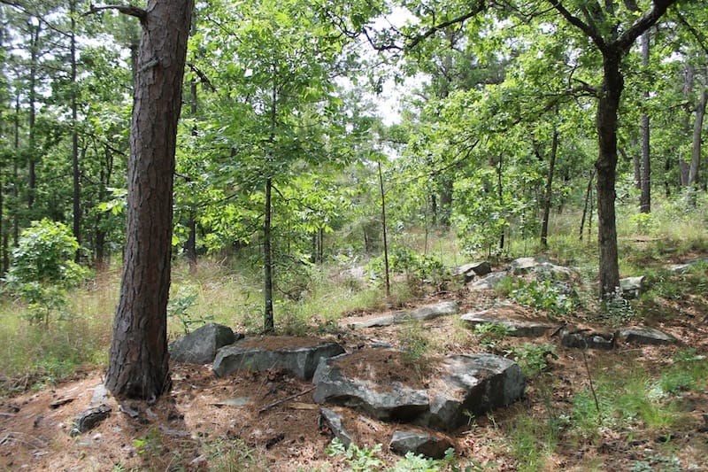 Indian Ridge – Phase II Tract 74 photo 8