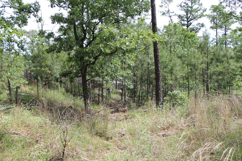 Indian Ridge – Phase II Tract 74 photo 9