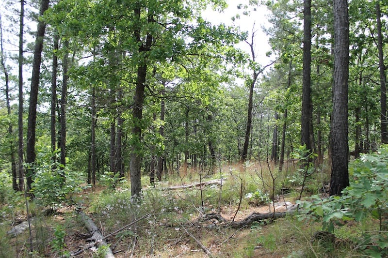 Indian Ridge – Phase II Tract 74 photo 11