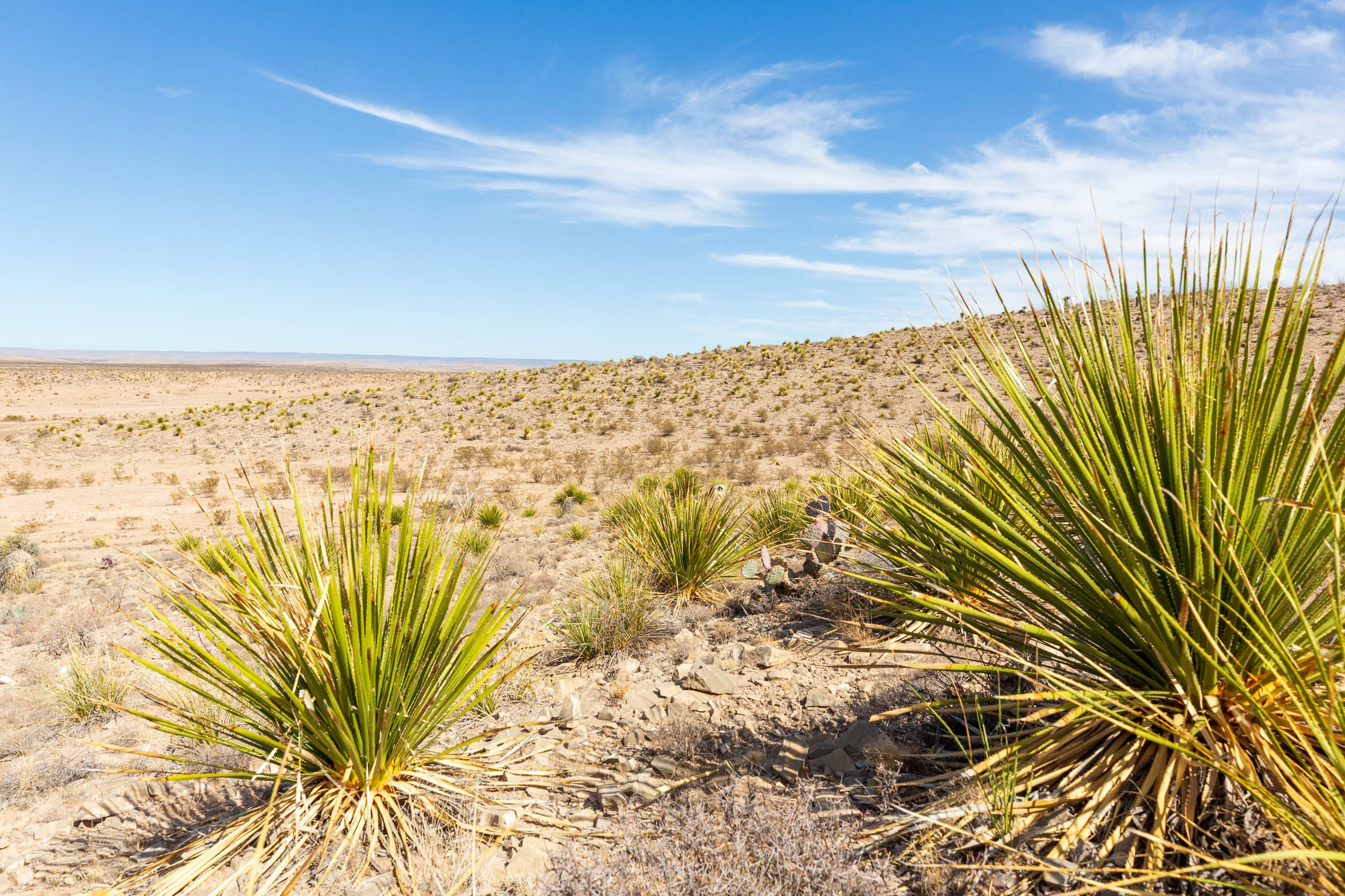 Sunrise Ranches Phase III Tract 117 photo 10