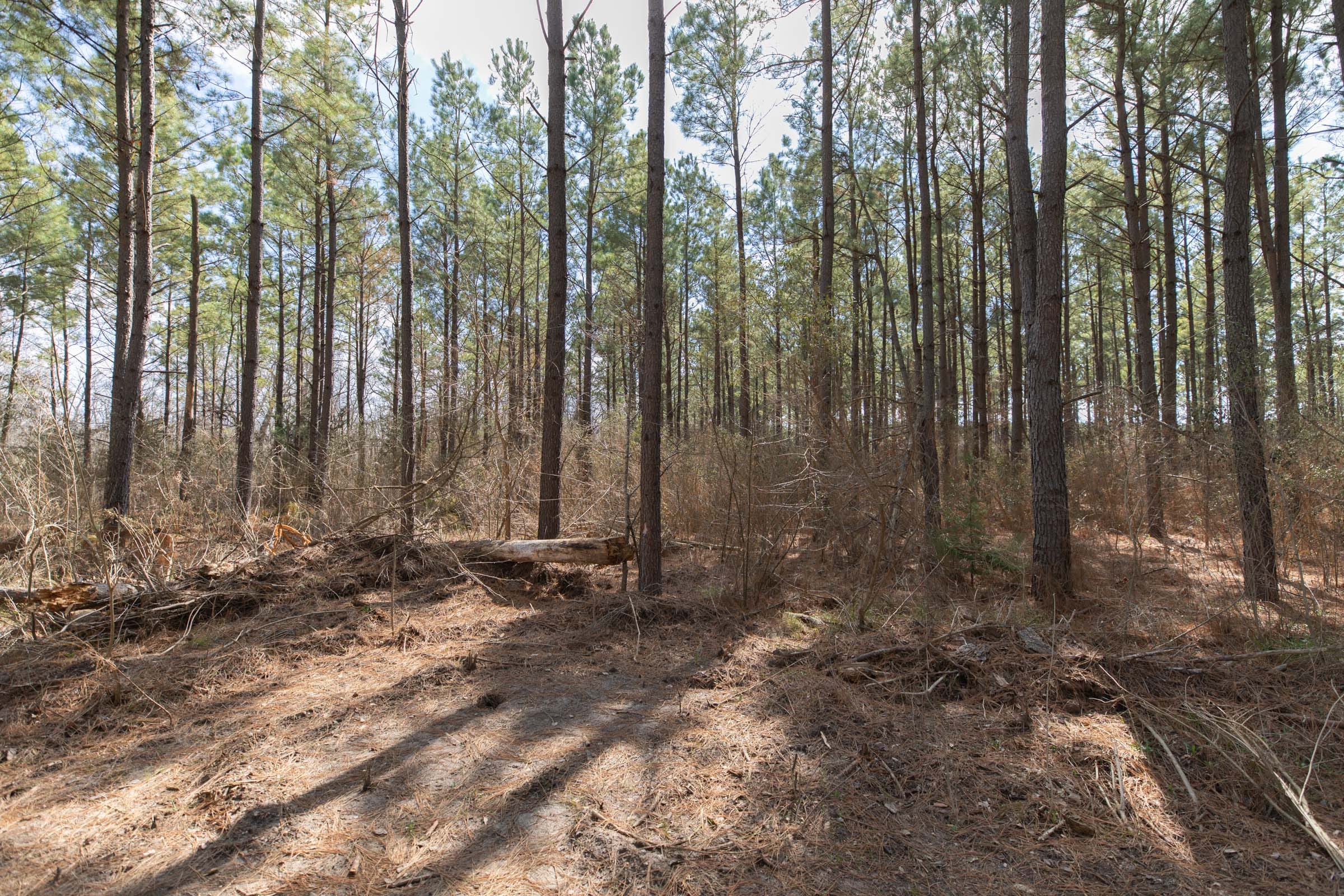 Wishing Star Ranch Tract 63 photo 1