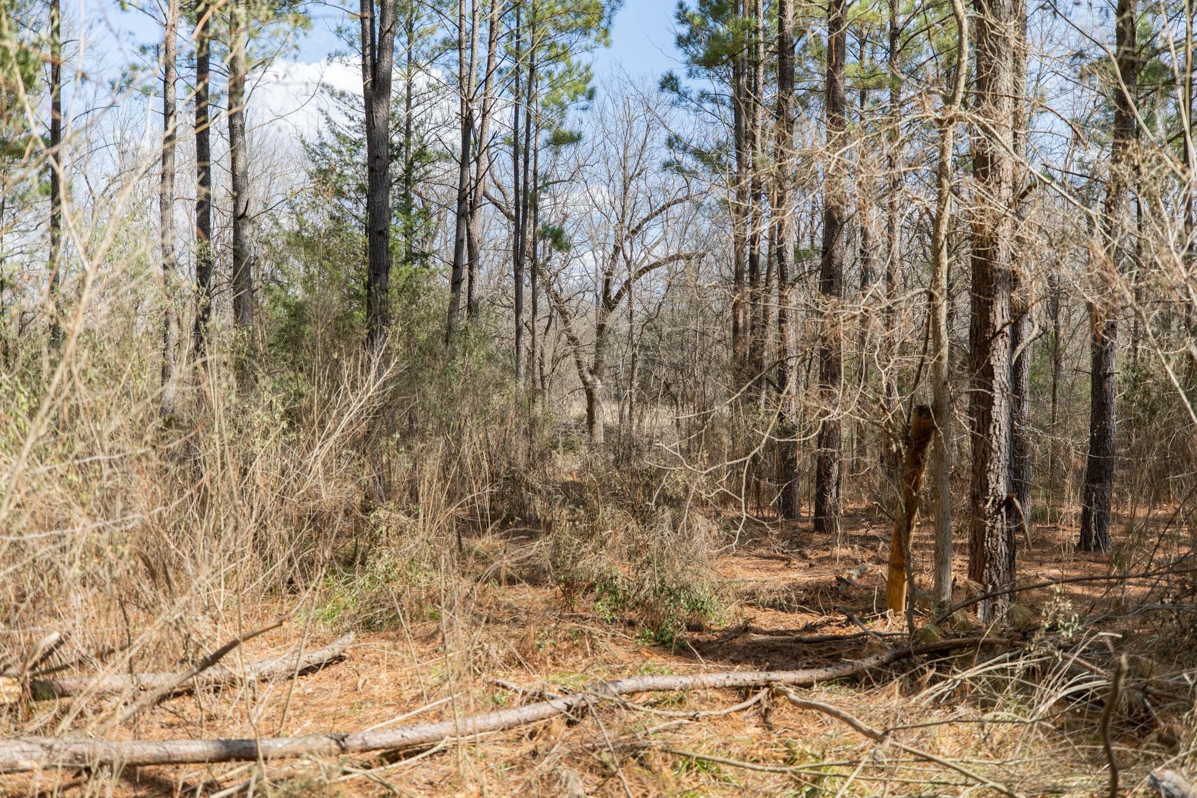 Wishing Star Ranch Tract 63 photo 2