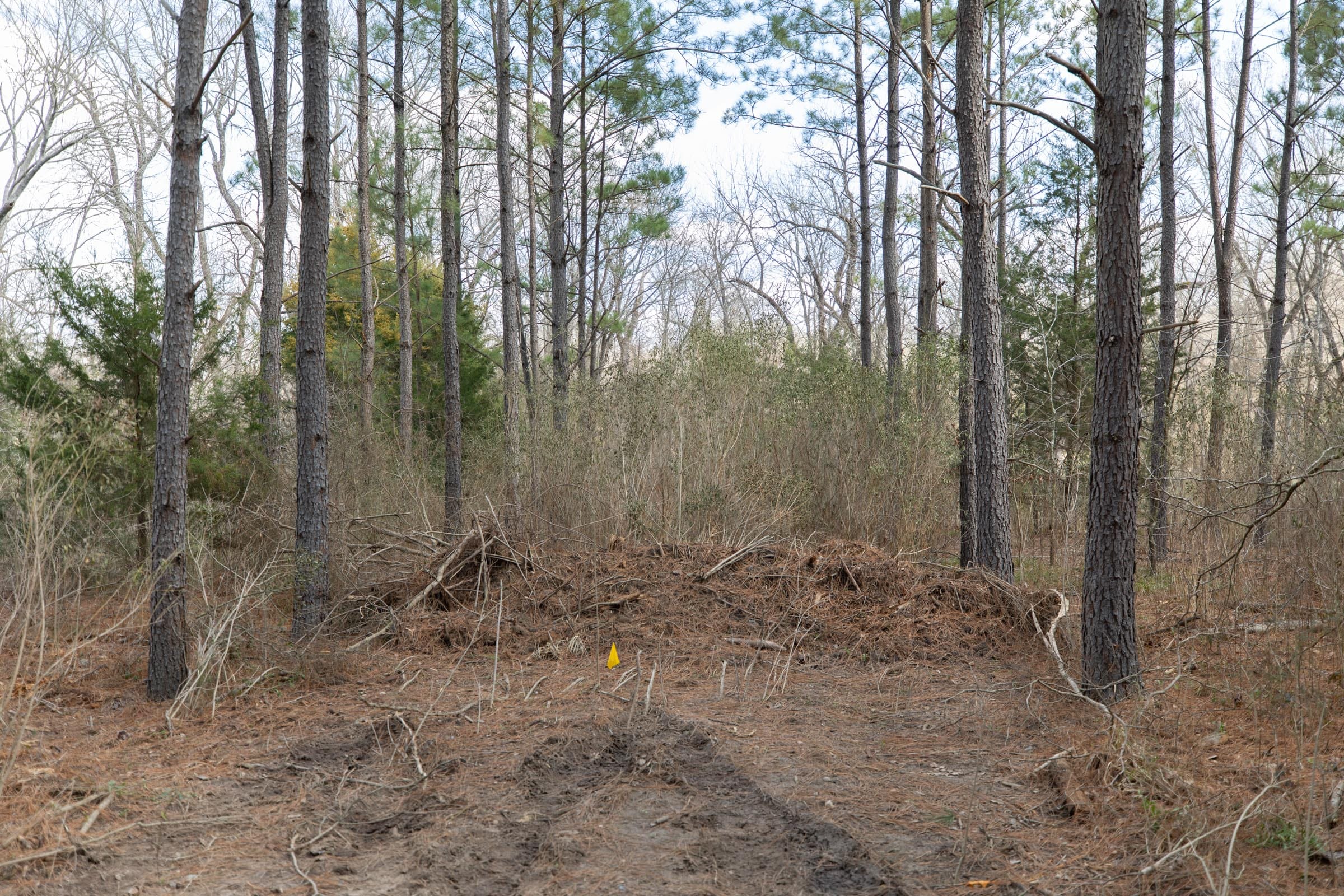 Wishing Star Ranch Tract 63 photo 4