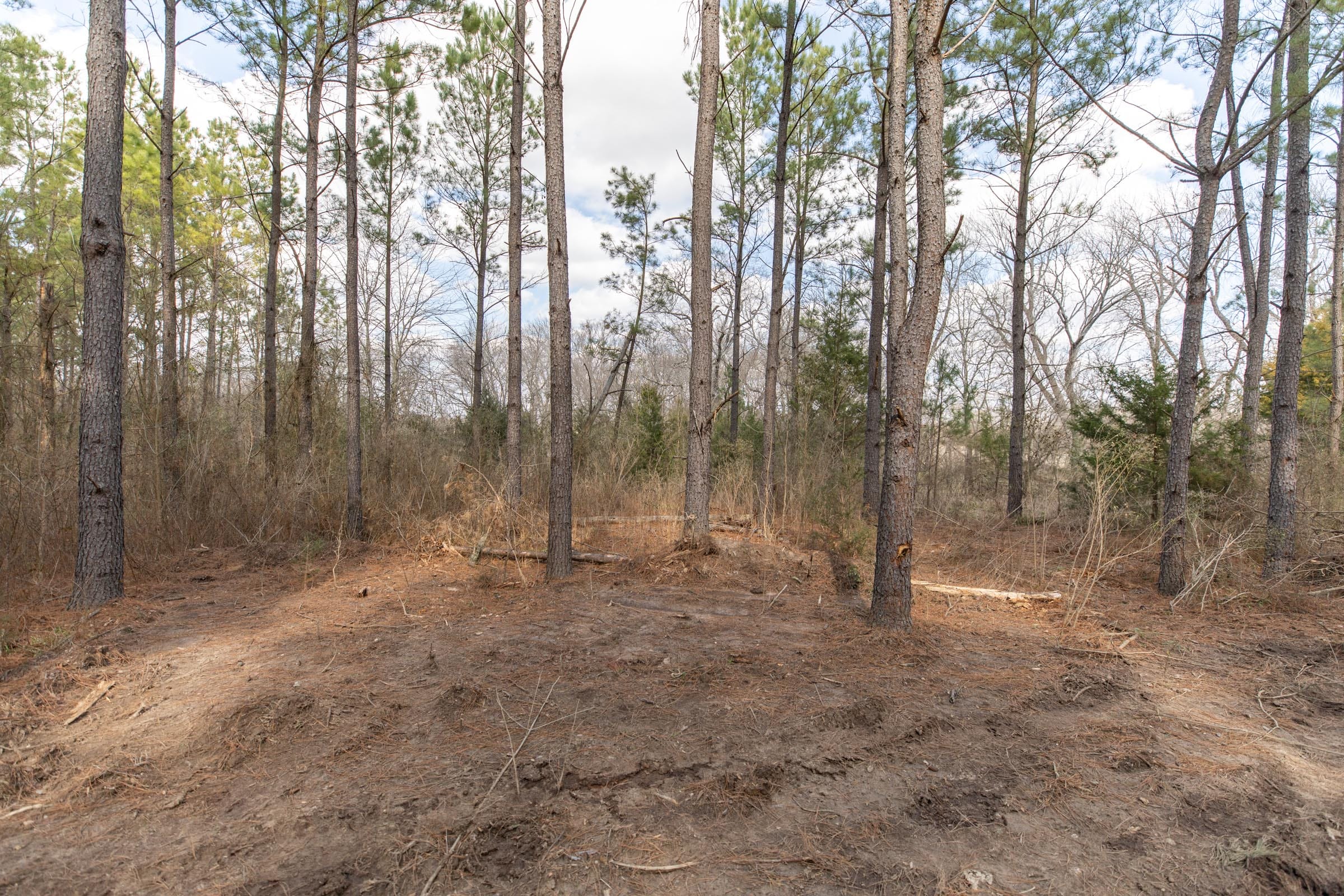 Wishing Star Ranch Tract 63 photo 6