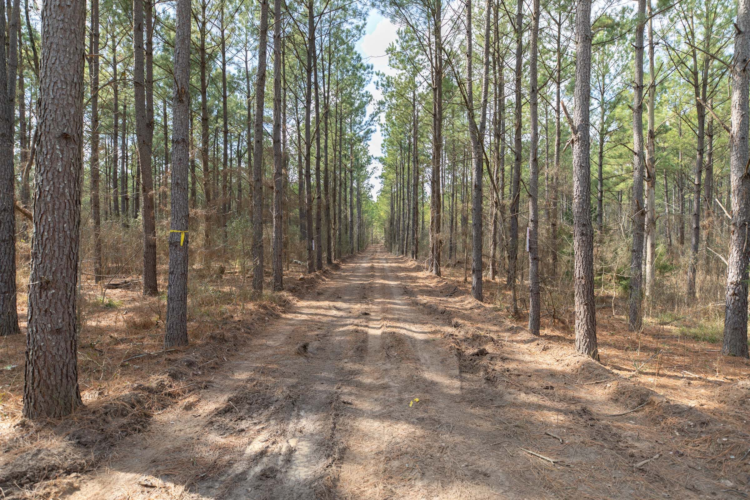 Wishing Star Ranch Tract 63 photo 7