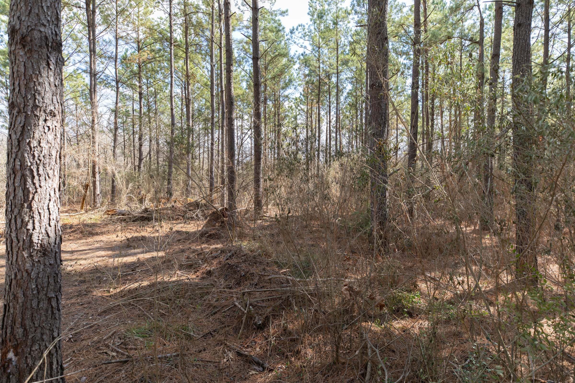 Wishing Star Ranch Tract 63 photo 9