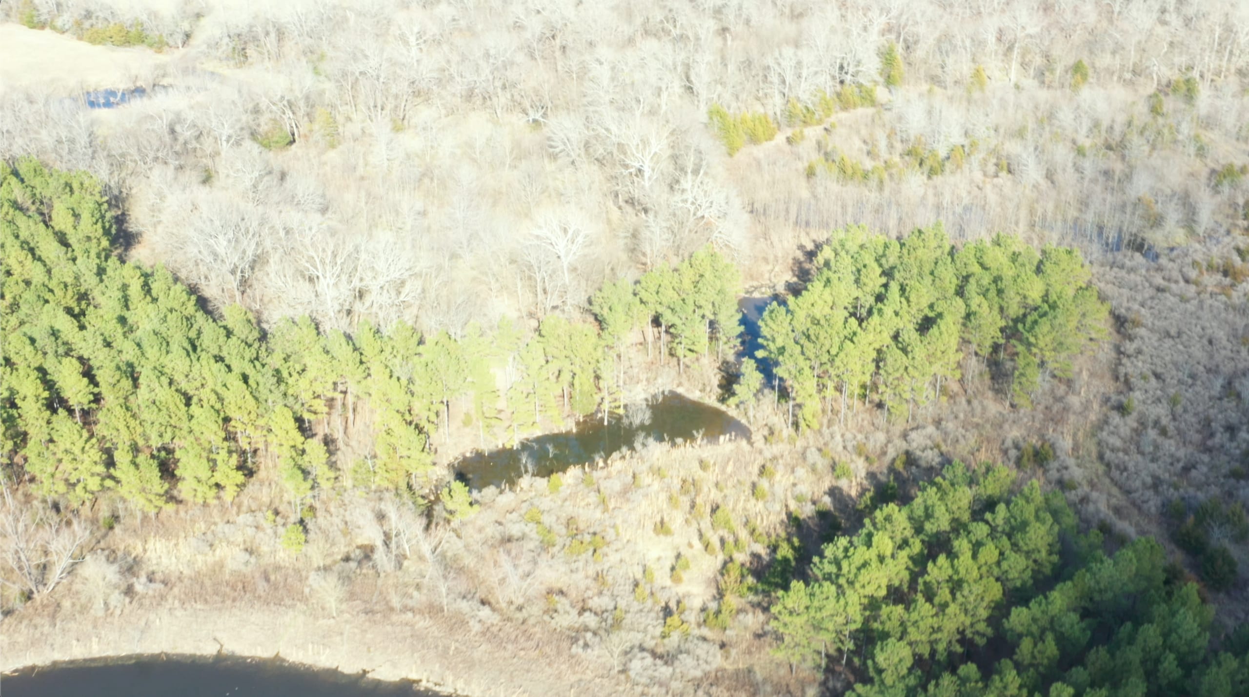 Wishing Star Ranch Tract 63 photo 11