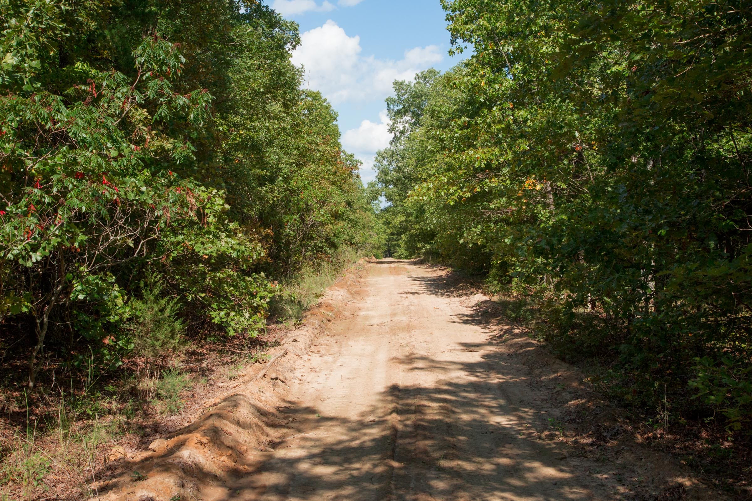 Wagon Wheel Ranch Tract 7 photo 7