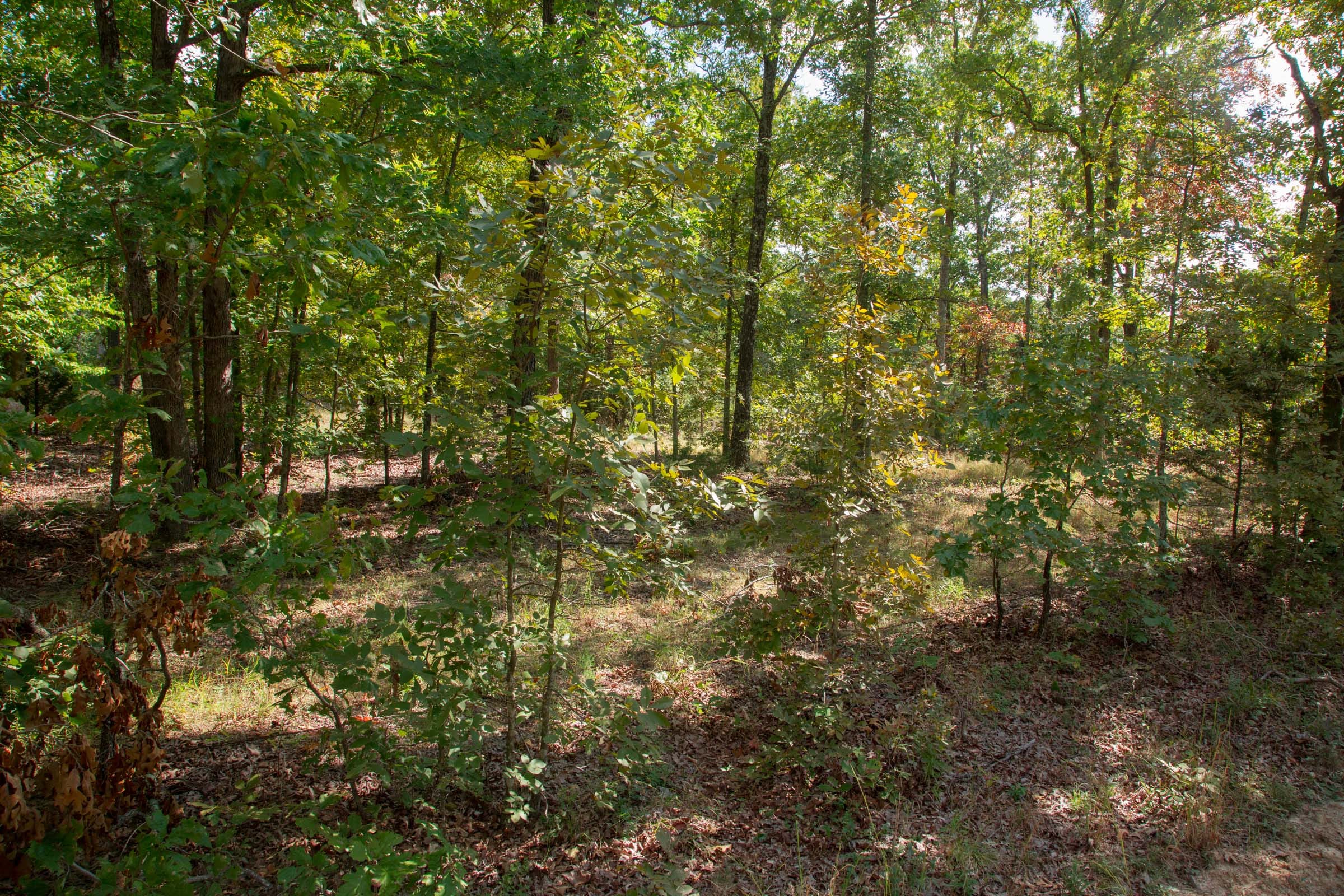 Wagon Wheel Ranch Tract 7 photo 3