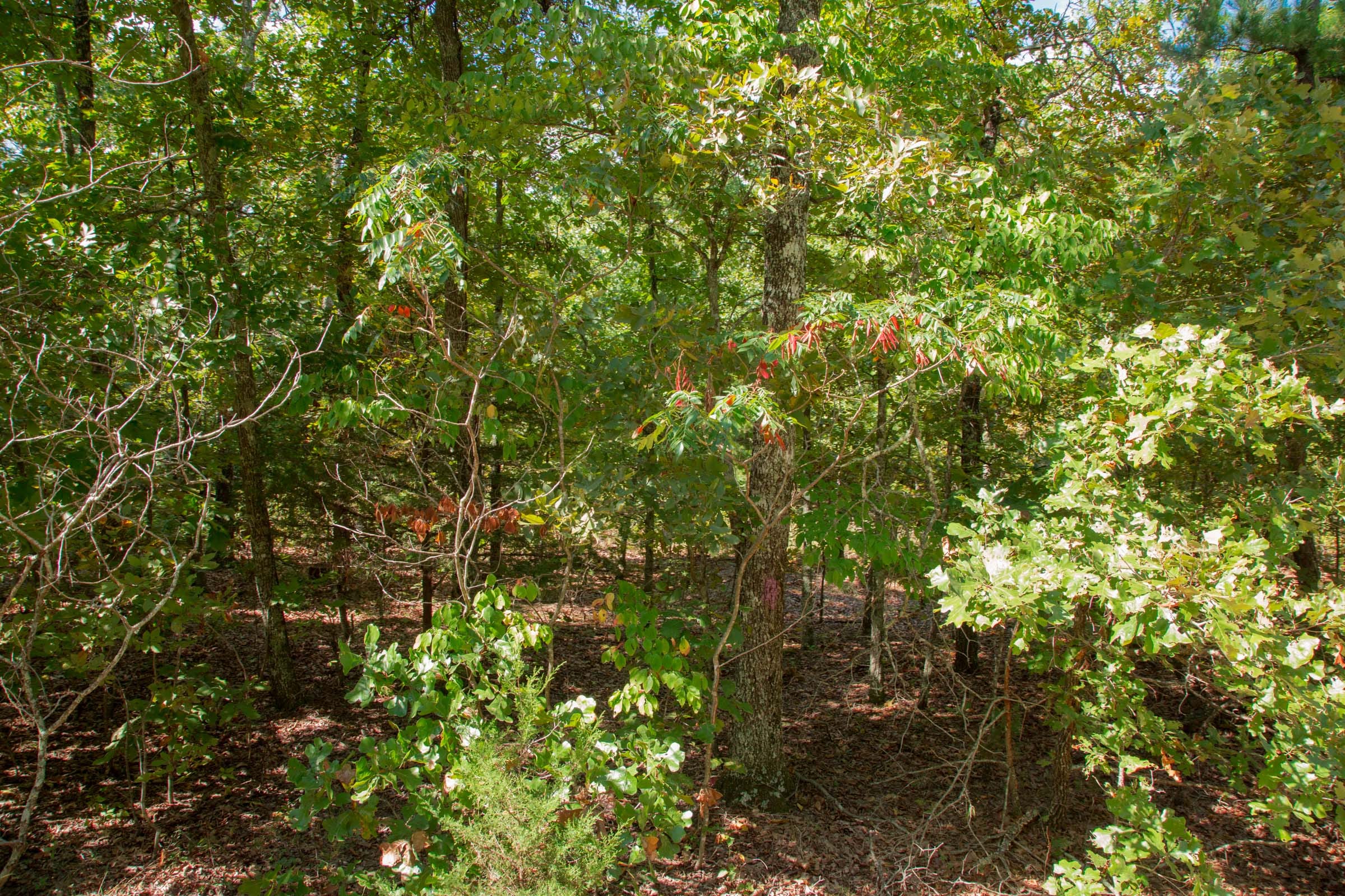 Wagon Wheel Ranch Tract 7 photo 4