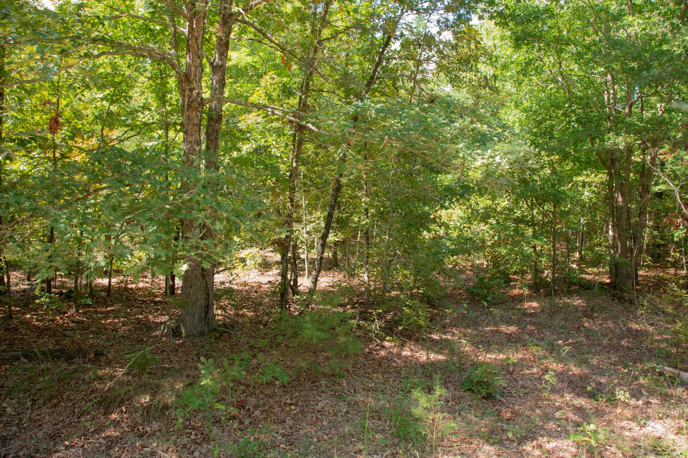 Wagon Wheel Ranch Tract 7 photo 1