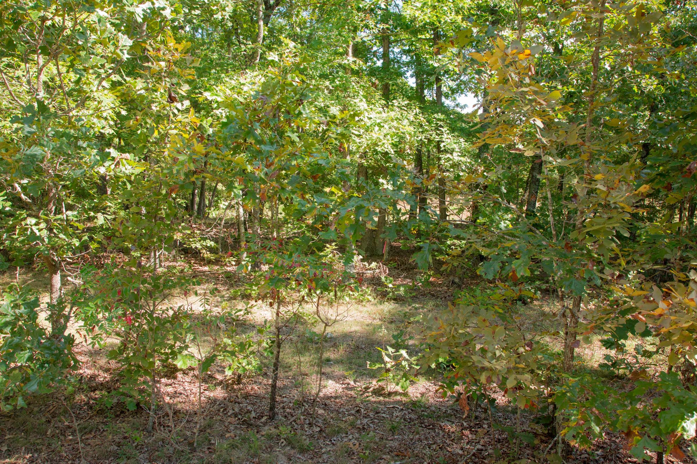 Wagon Wheel Ranch Tract 7 photo 6