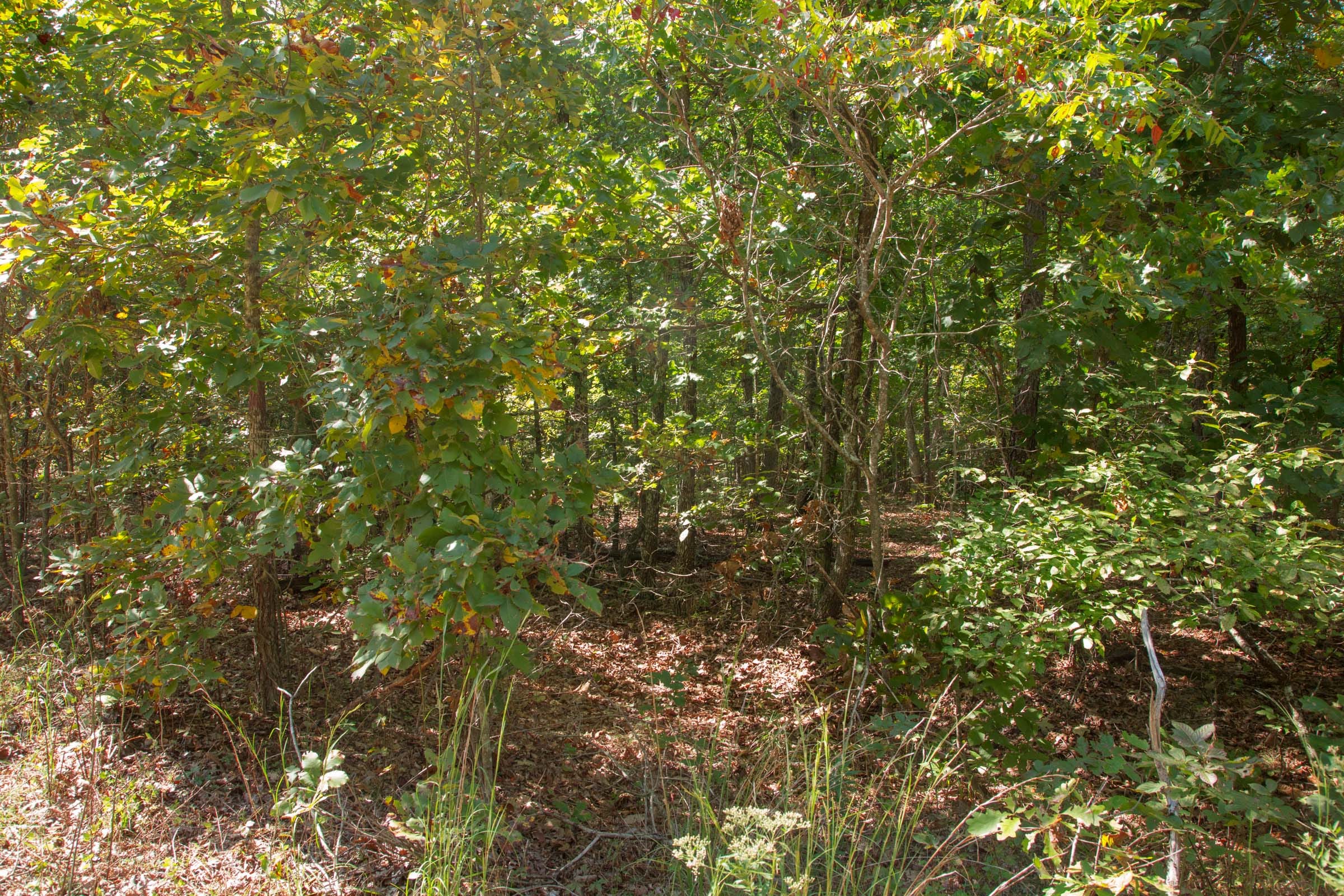 Wagon Wheel Ranch Tract 7 photo 10
