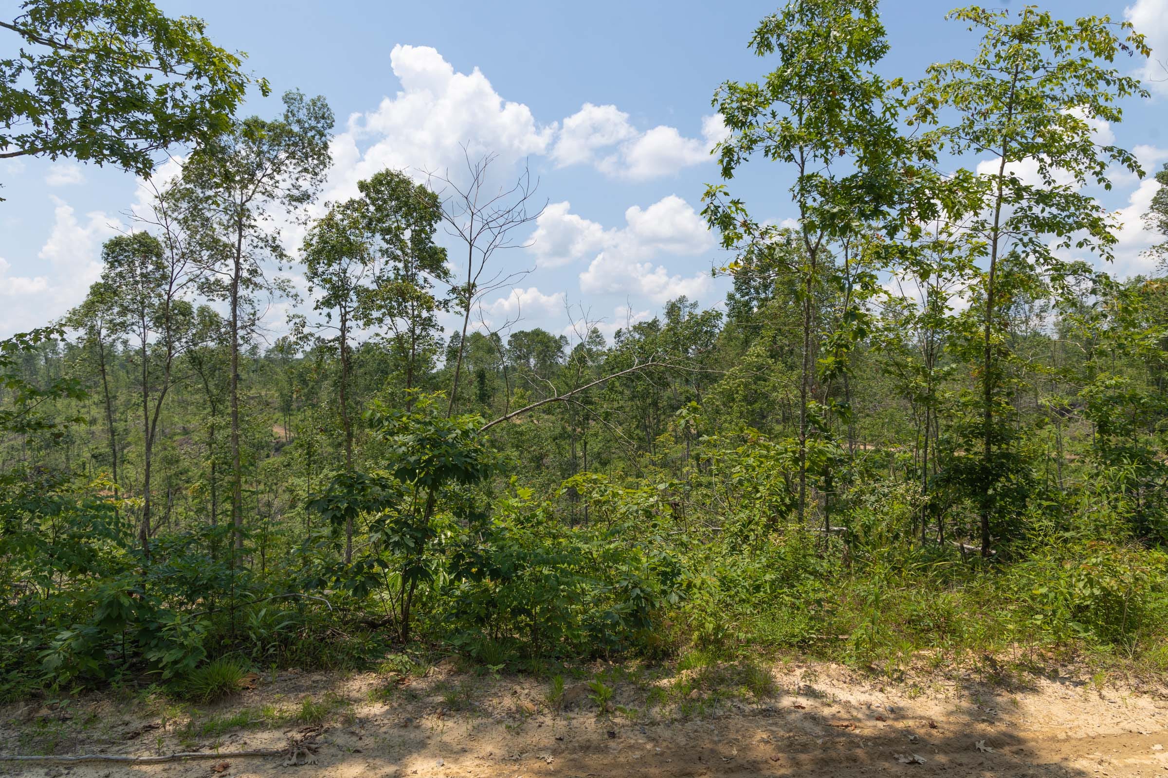 Creek Hollow Phase II Tract 71 photo 17
