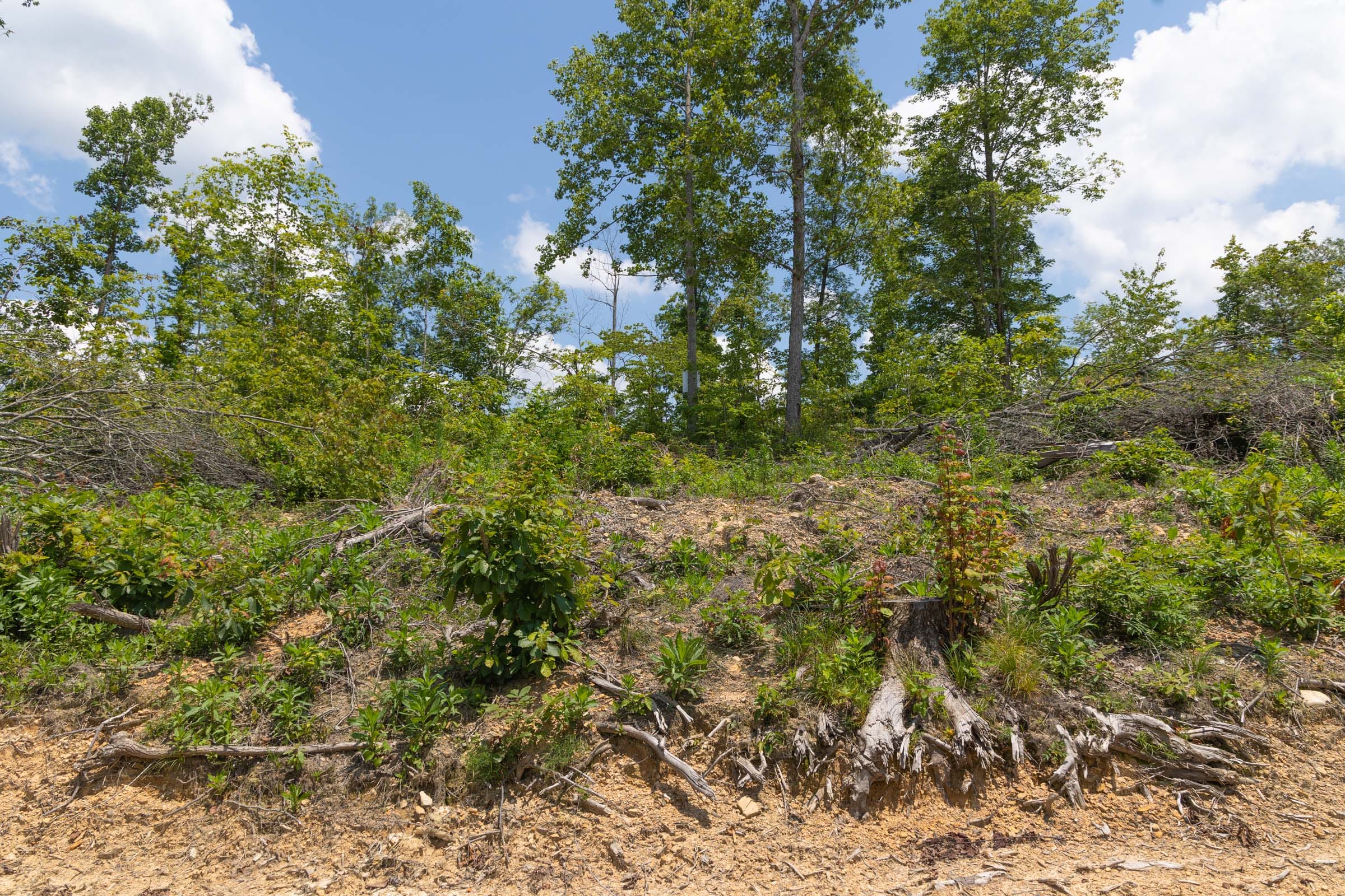 Creek Hollow Phase II Tract 71 photo 16