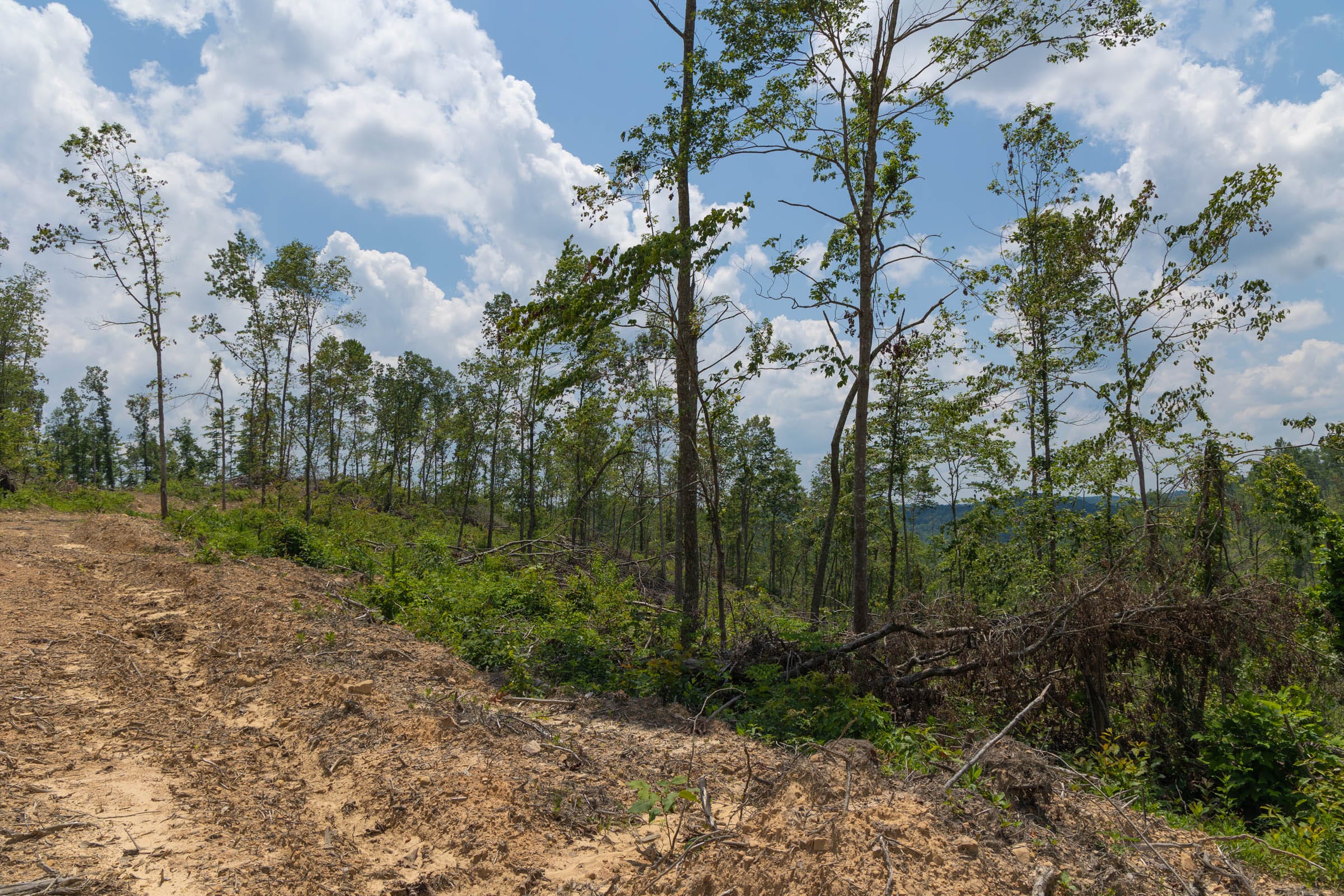 Creek Hollow Phase II Tract 71 photo 15