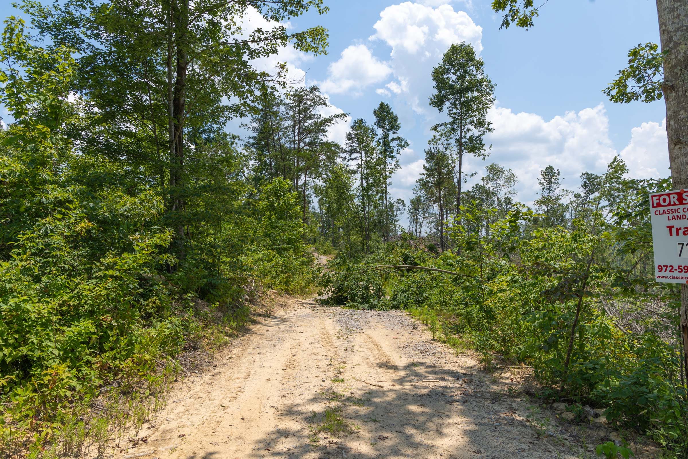 Creek Hollow Phase II Tract 71 photo 14
