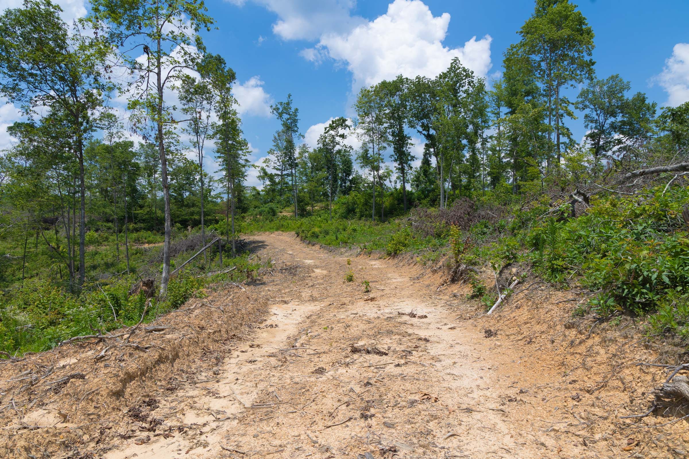Creek Hollow Phase II Tract 71 photo 3