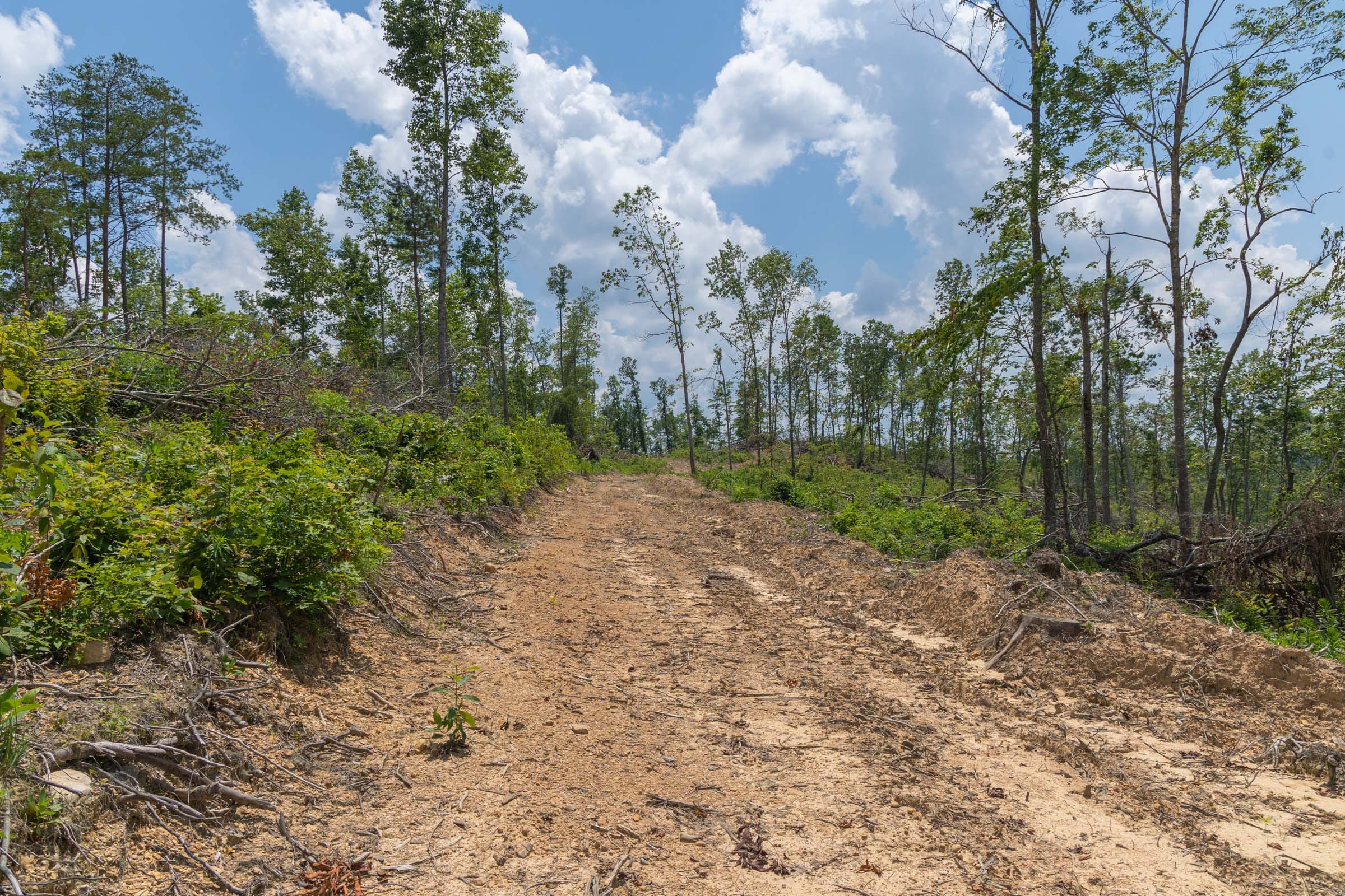 Creek Hollow Phase II Tract 71 photo 12