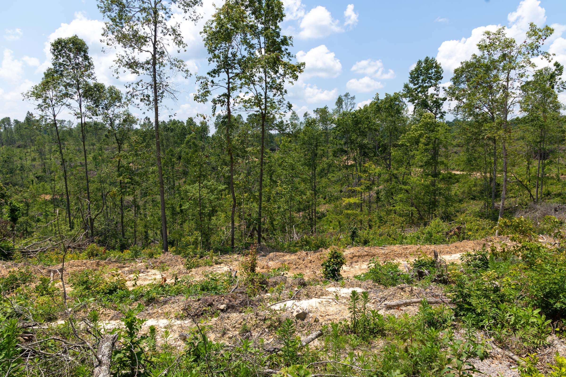 Creek Hollow Phase II Tract 71 photo 9