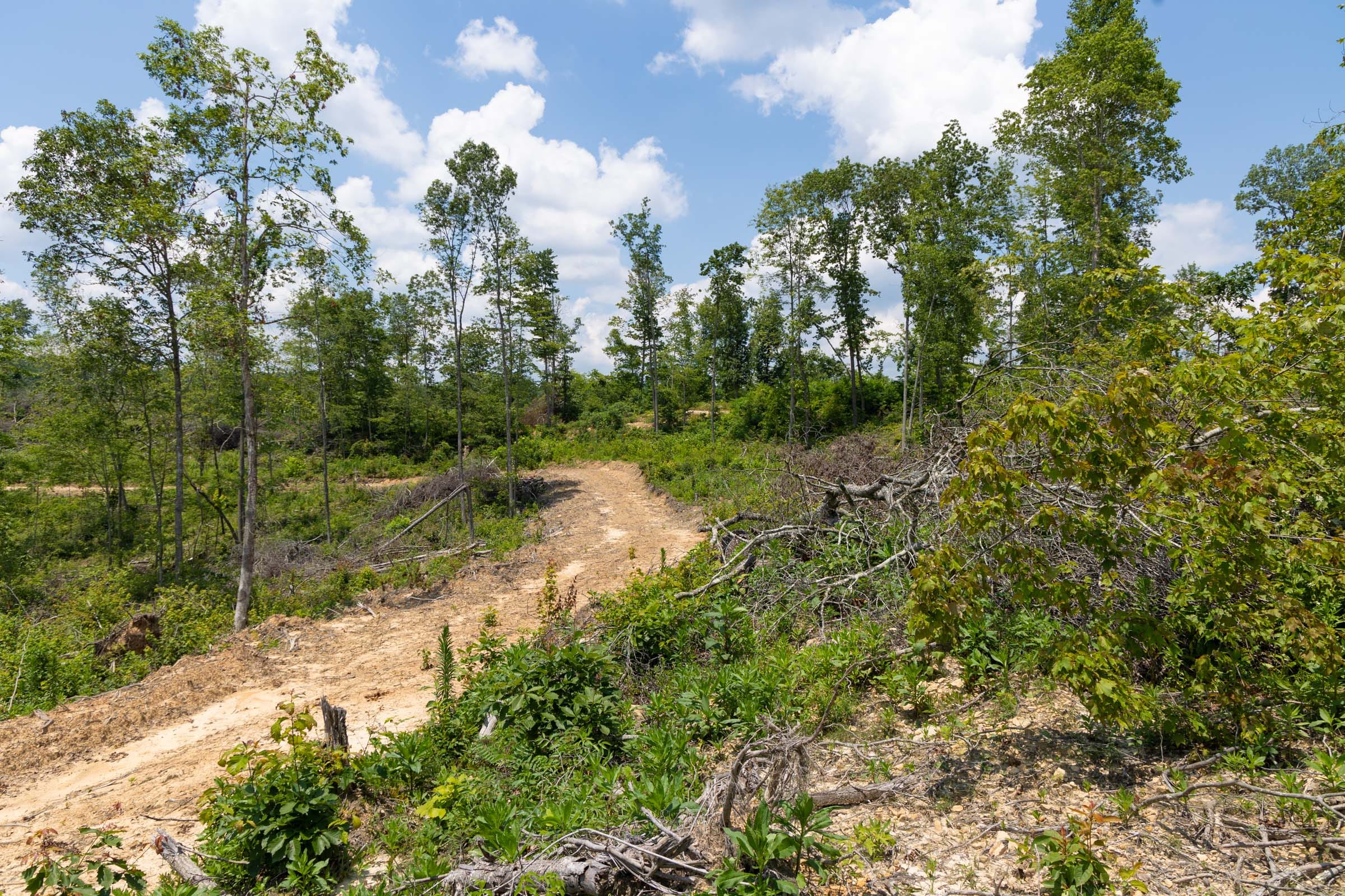 Creek Hollow Phase II Tract 71 photo 7