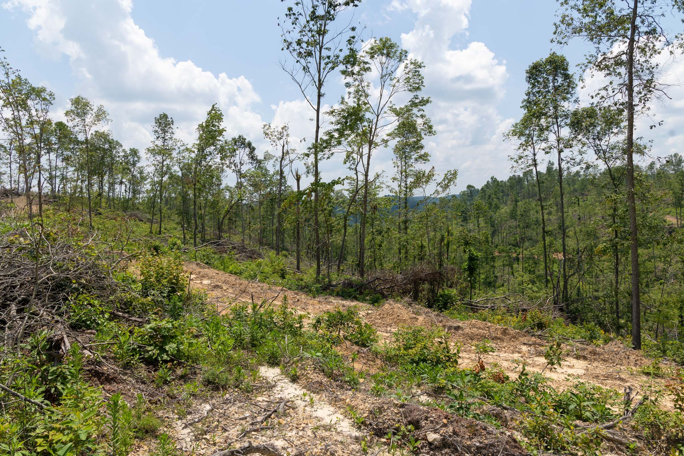 Creek Hollow Phase II Tract 71 photo 4