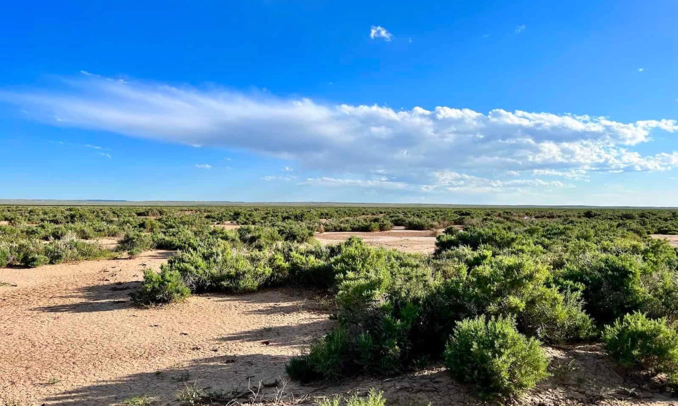 Saddle Ridge Ranches Tract 3 photo 3