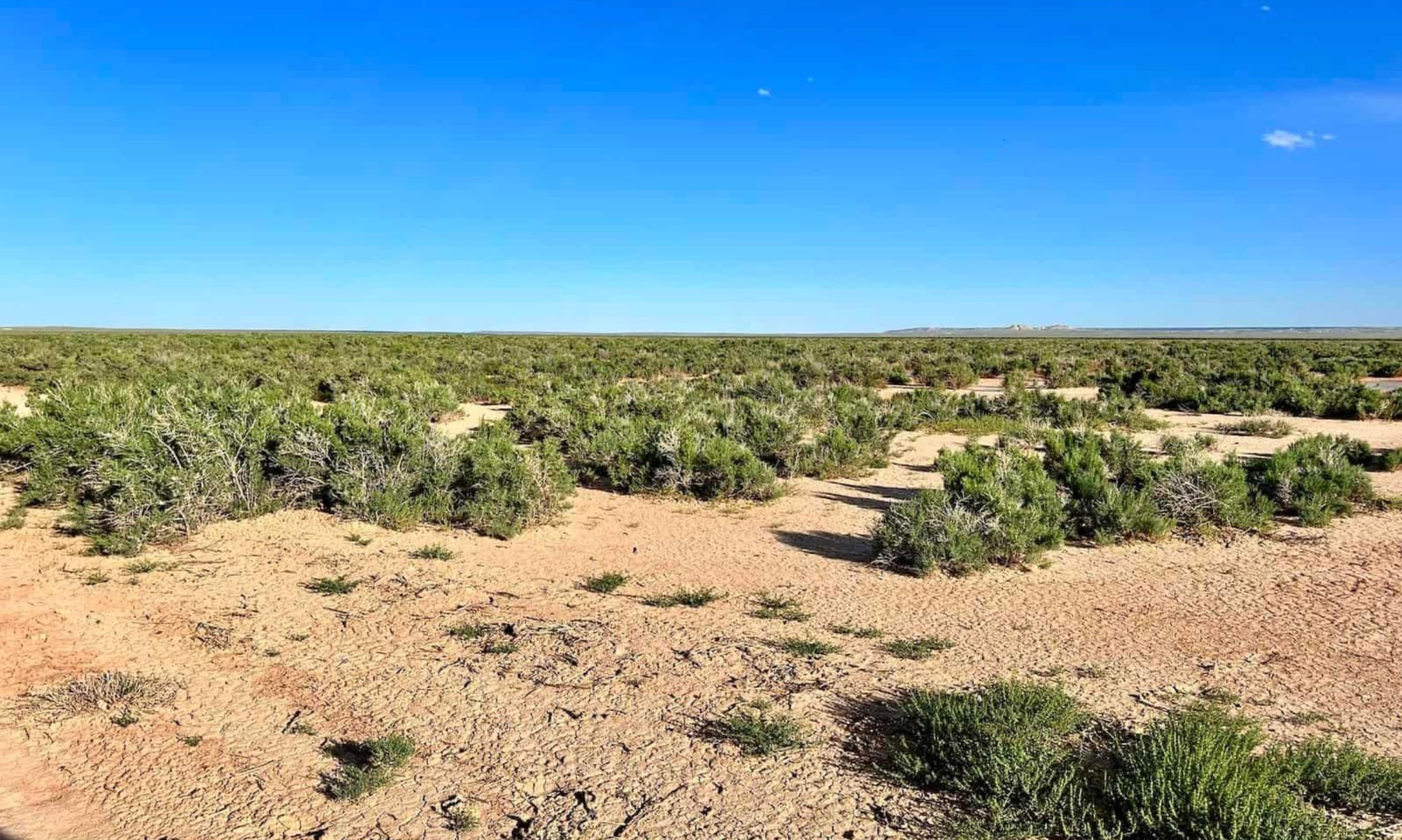 Saddle Ridge Ranches Tract 3 photo 5