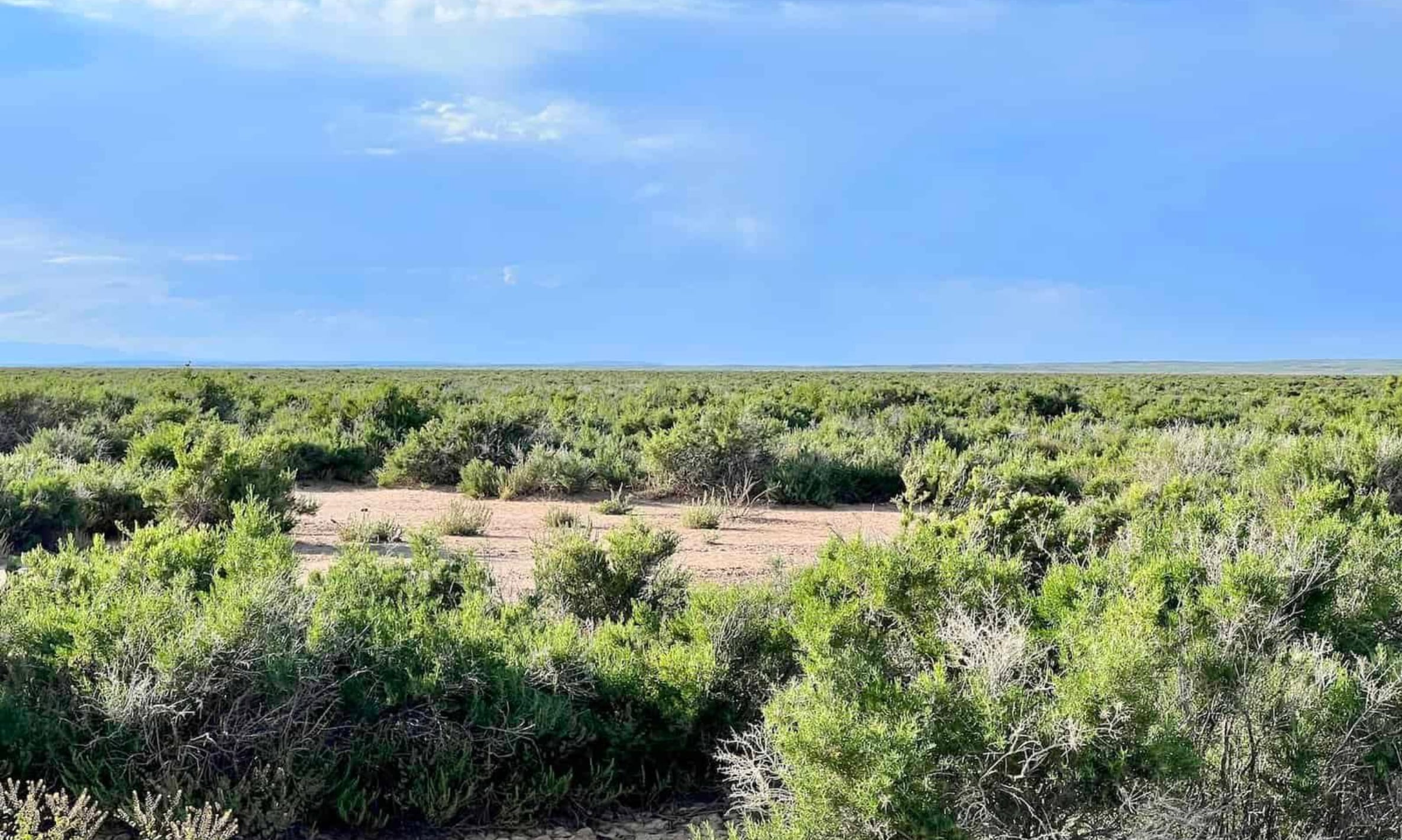 Saddle Ridge Ranches Tract 3 photo 6
