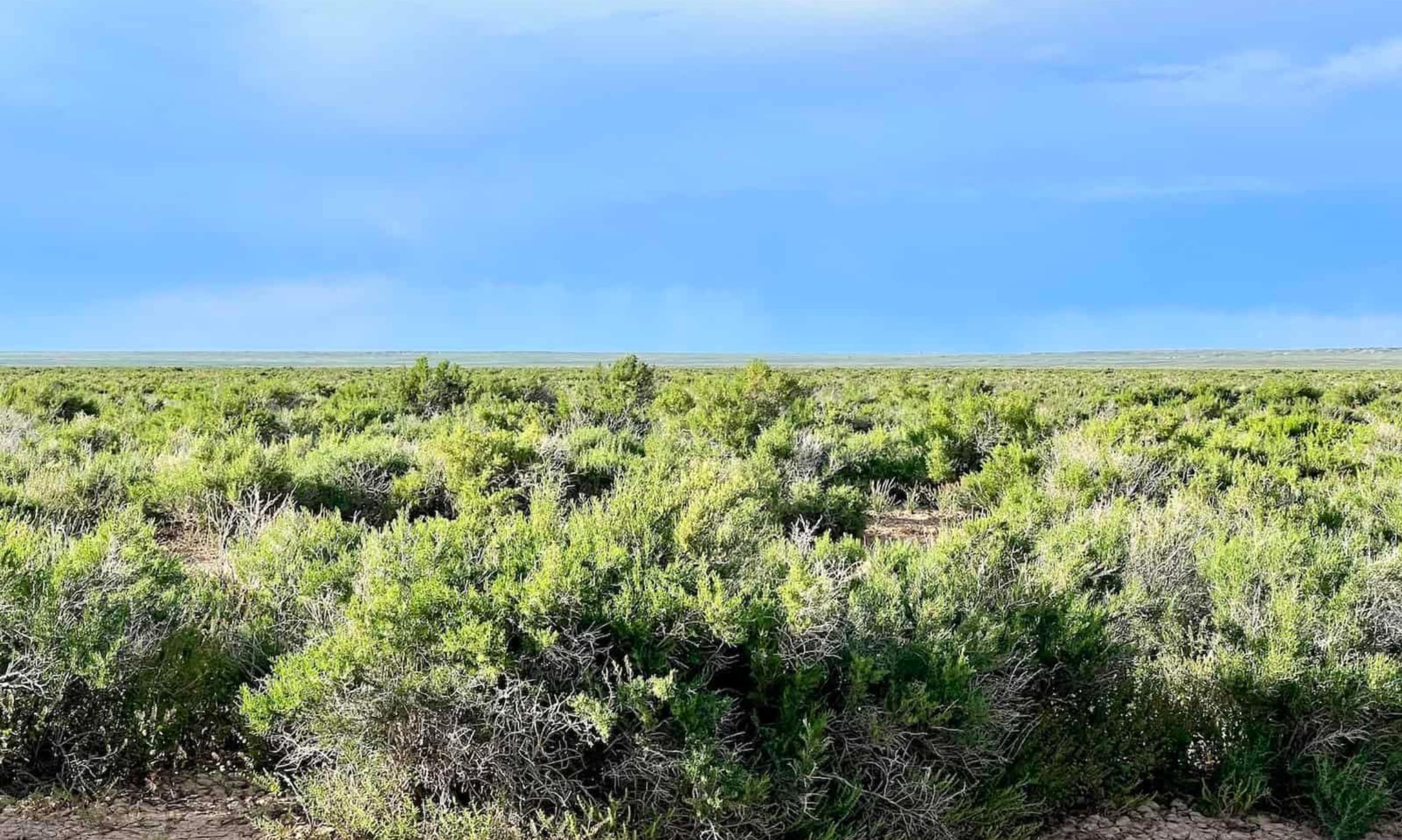 Saddle Ridge Ranches Tract 3 photo 7
