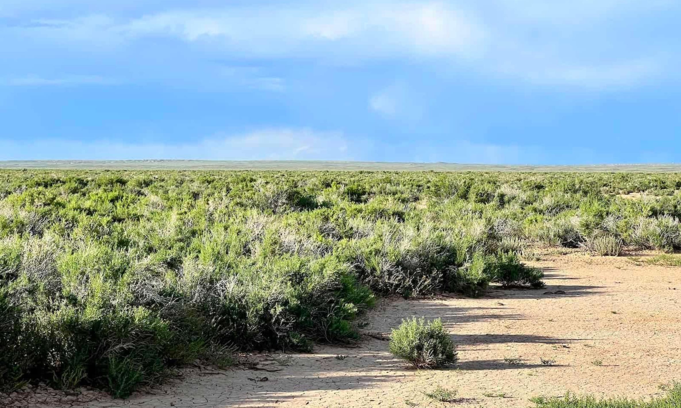 Saddle Ridge Ranches Tract 3 photo 8