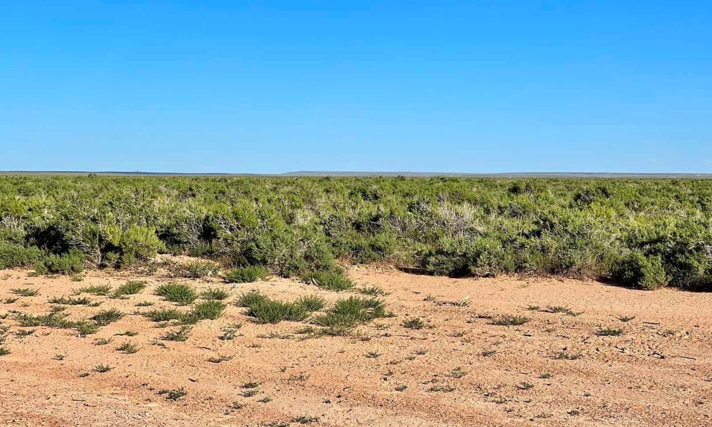 Saddle Ridge Ranches Tract 3 photo 9