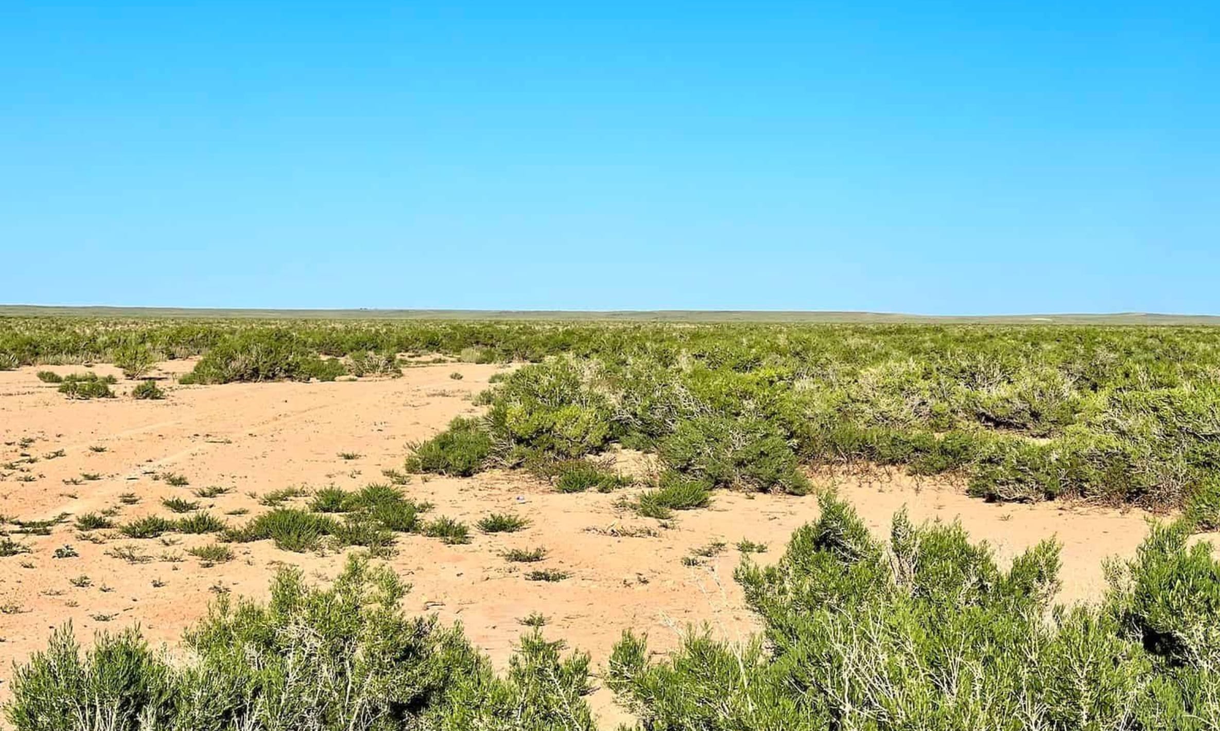 Saddle Ridge Ranches Tract 3 photo 10