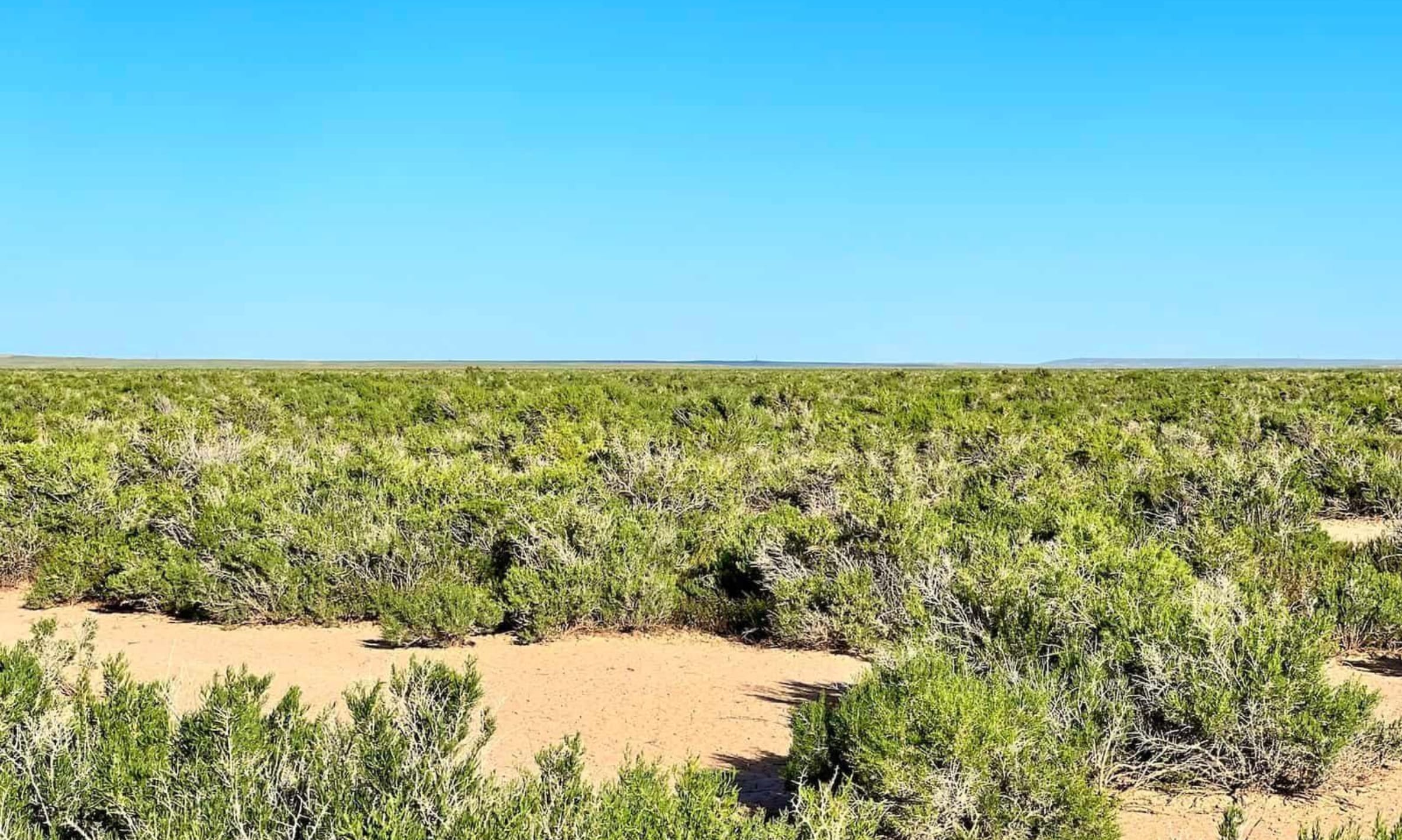 Saddle Ridge Ranches Tract 3 photo 11
