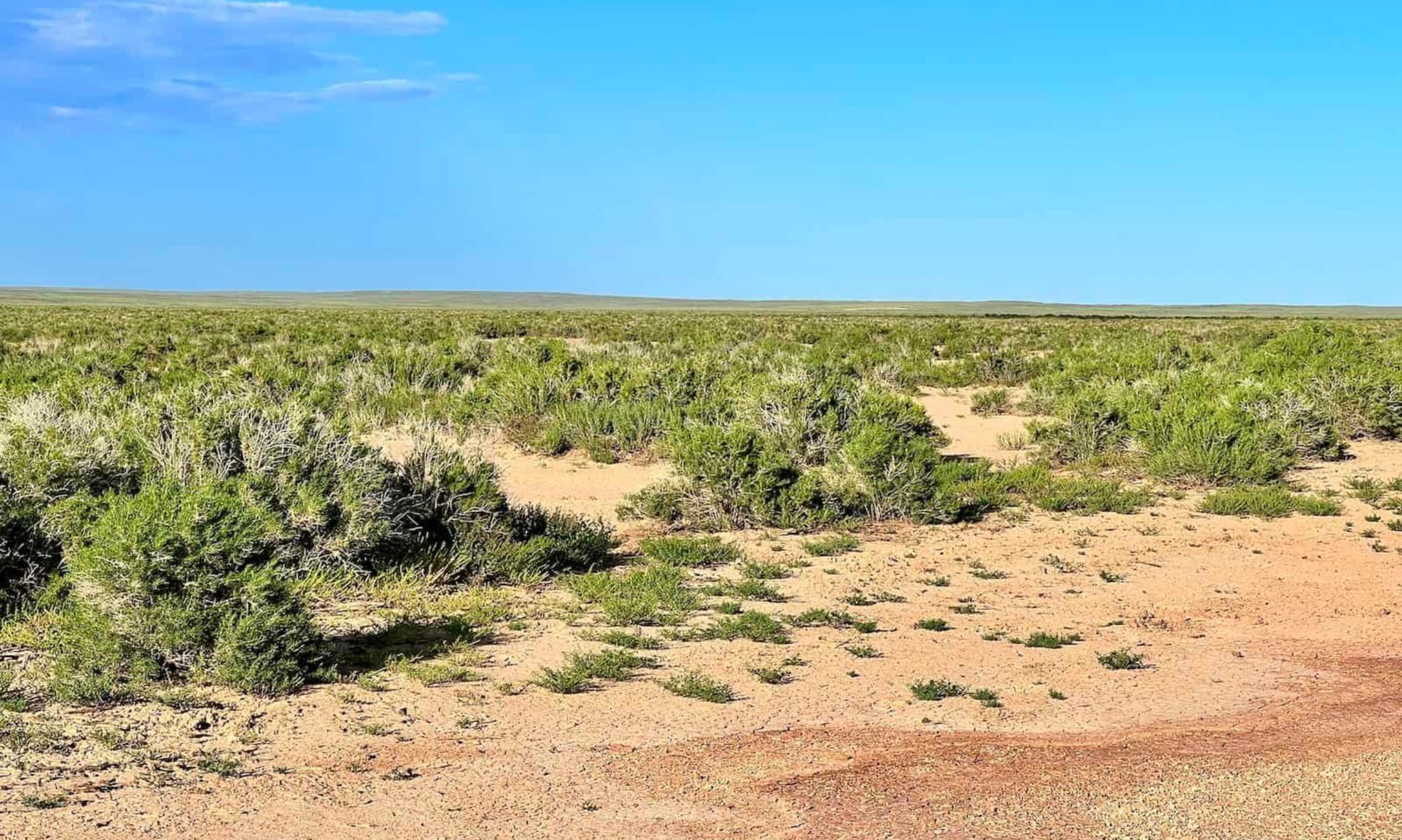 Saddle Ridge Ranches Tract 3 photo 13