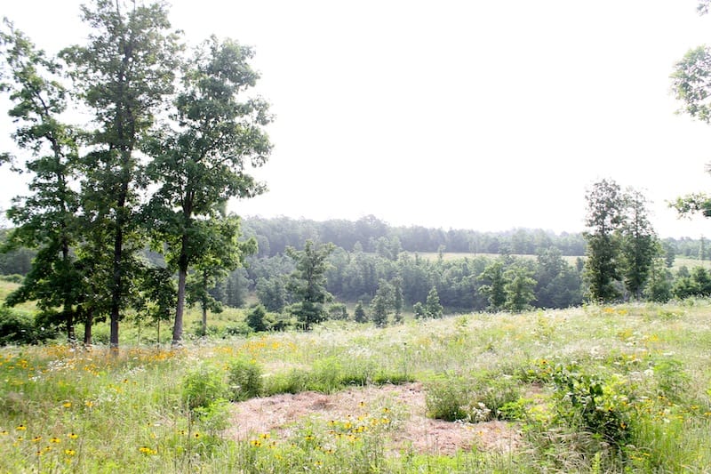 Green Mountain Ranch Tract 1 photo 1