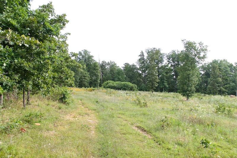 Green Mountain Ranch Tract 1 photo 3