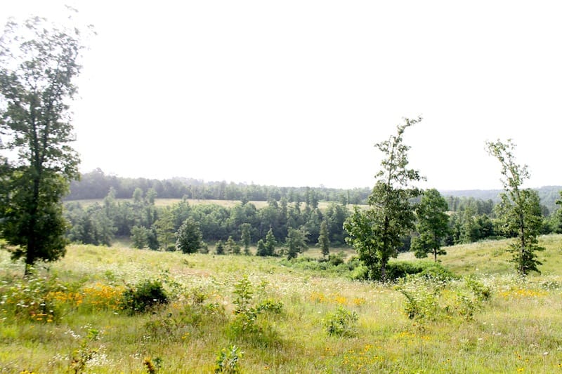 Green Mountain Ranch Tract 1 photo 5