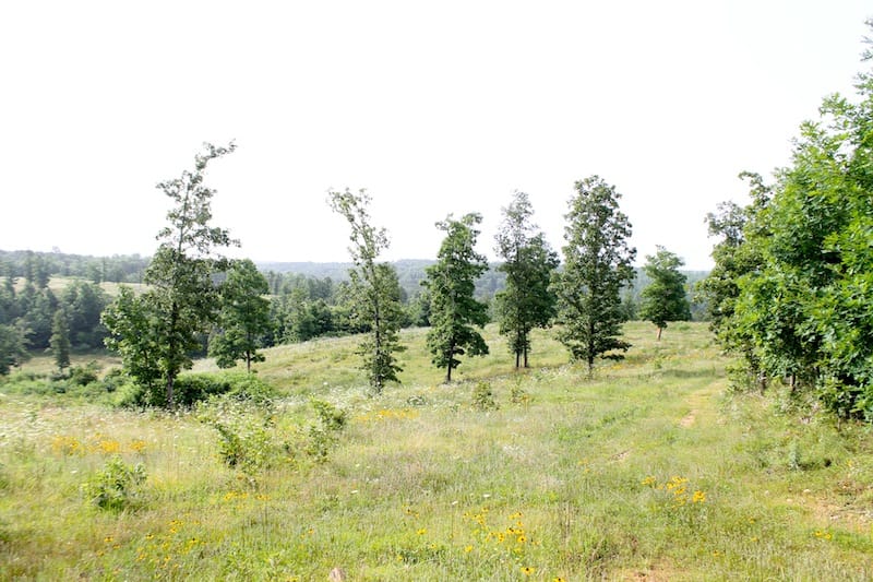 Green Mountain Ranch Tract 1 photo 6