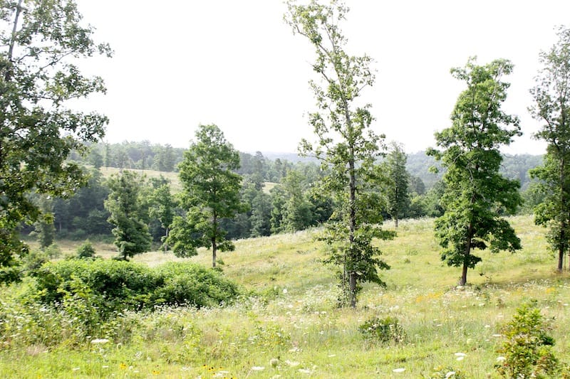 Green Mountain Ranch Tract 1 photo 7