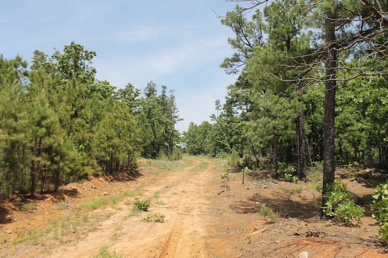 Indian Ridge – Phase II Tract 53 photo 1