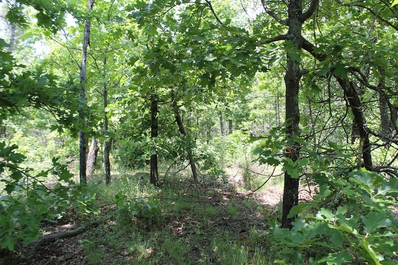 Indian Ridge – Phase II Tract 53 photo 7
