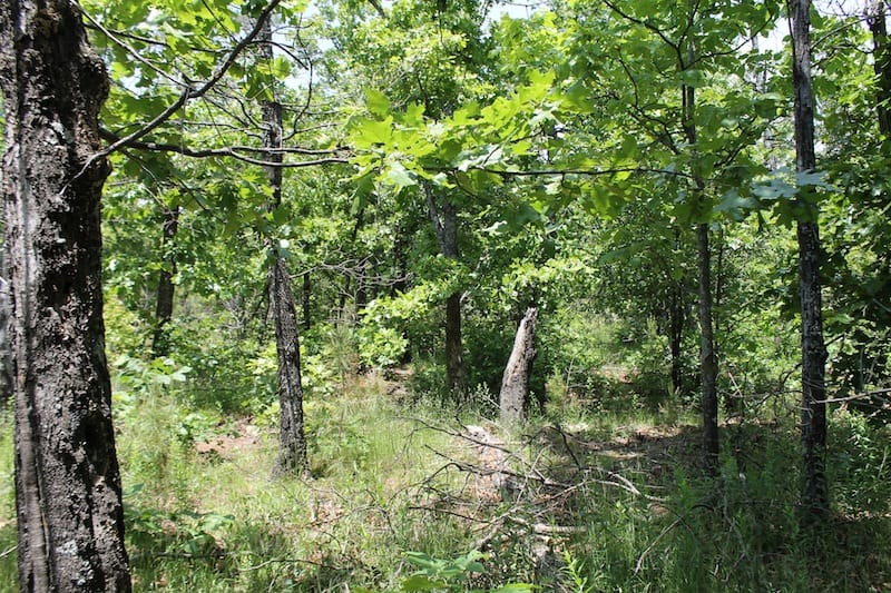 Indian Ridge – Phase II Tract 53 photo 8