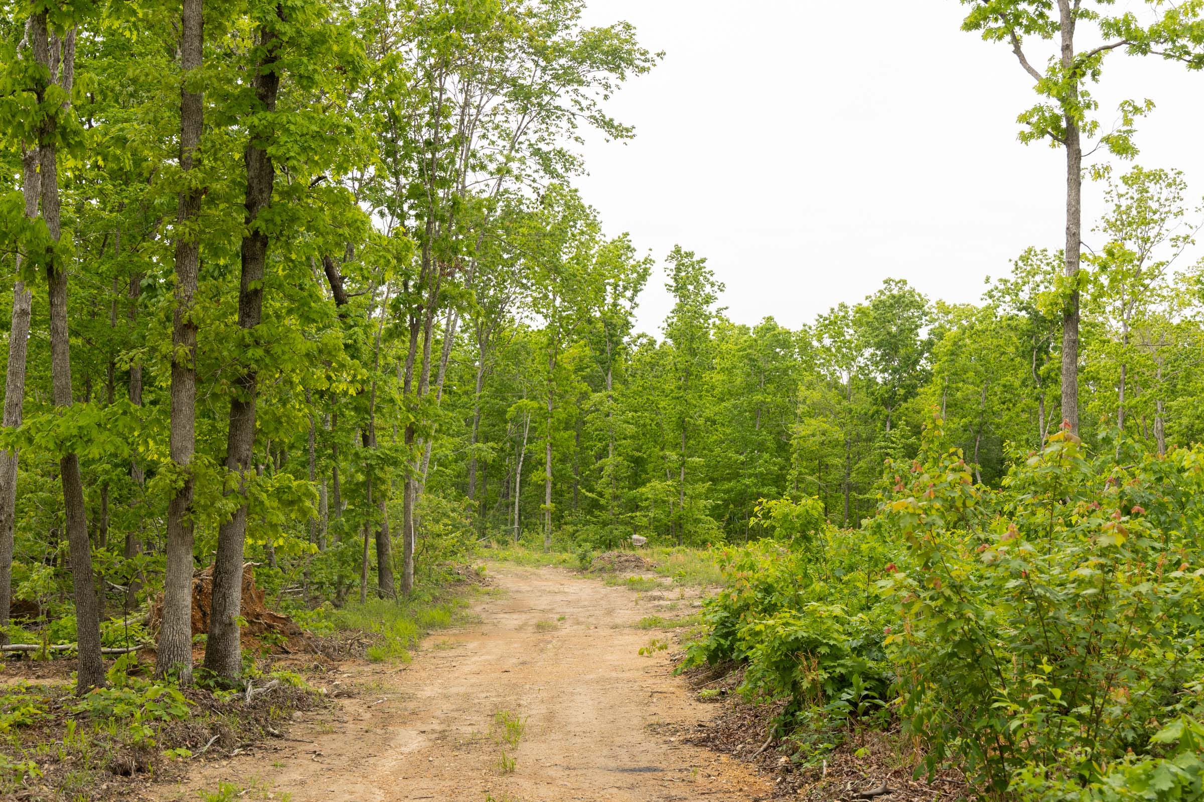 Stardust Estates Tract 22 photo 6