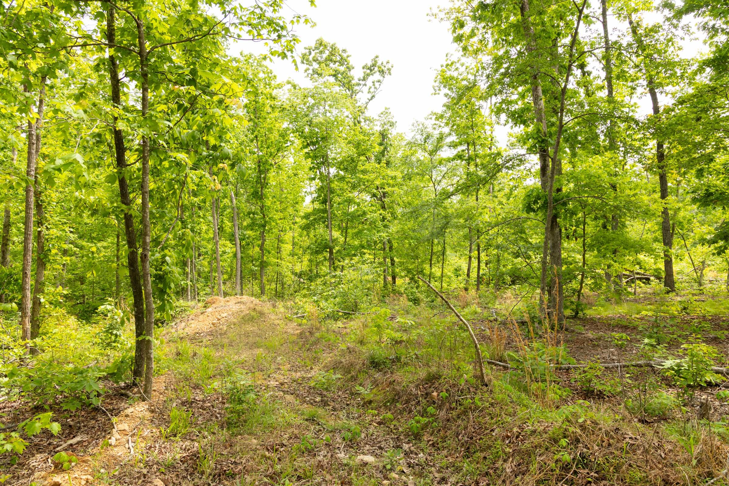 Stardust Estates Tract 22 photo 7