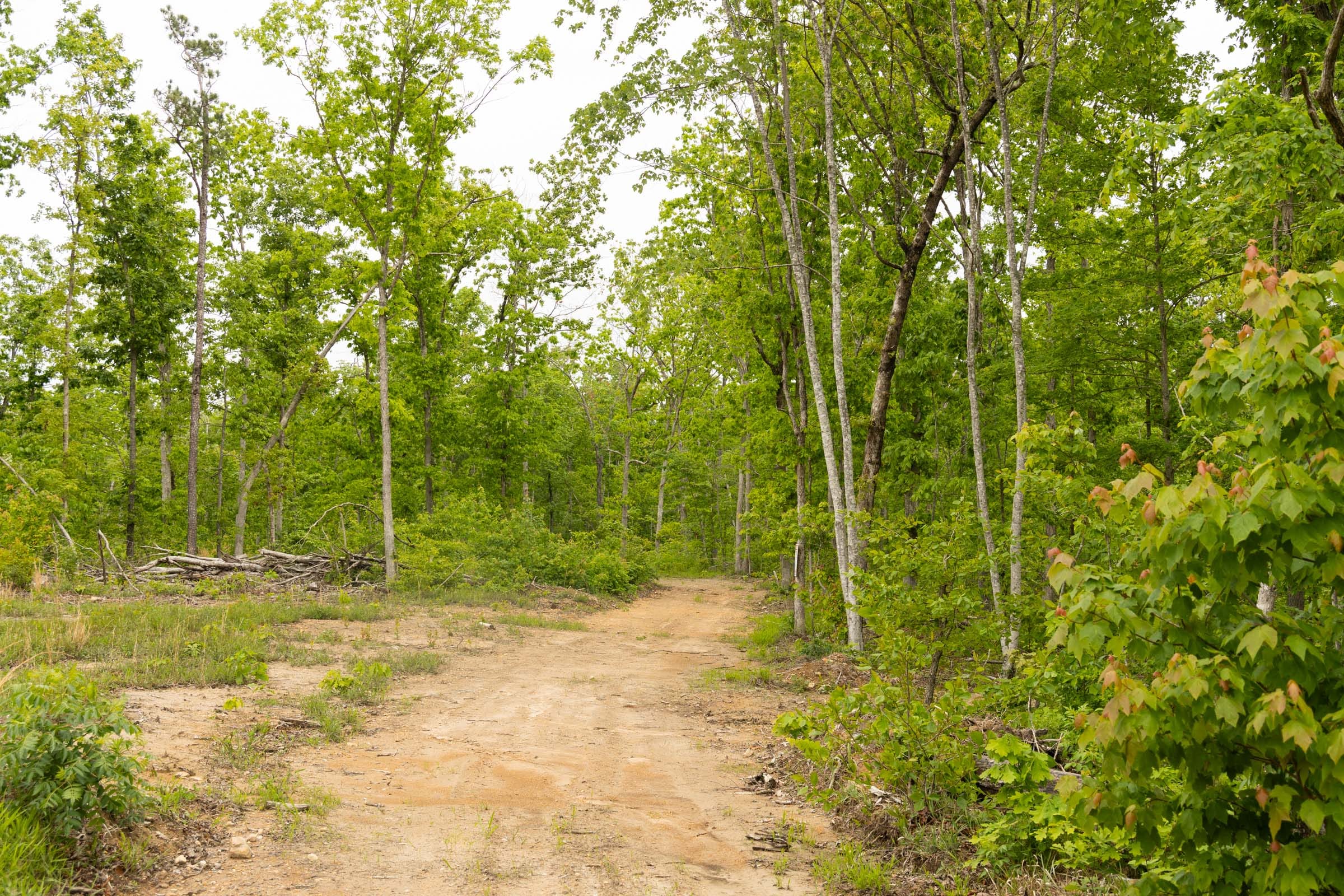 Stardust Estates Tract 22 photo 2