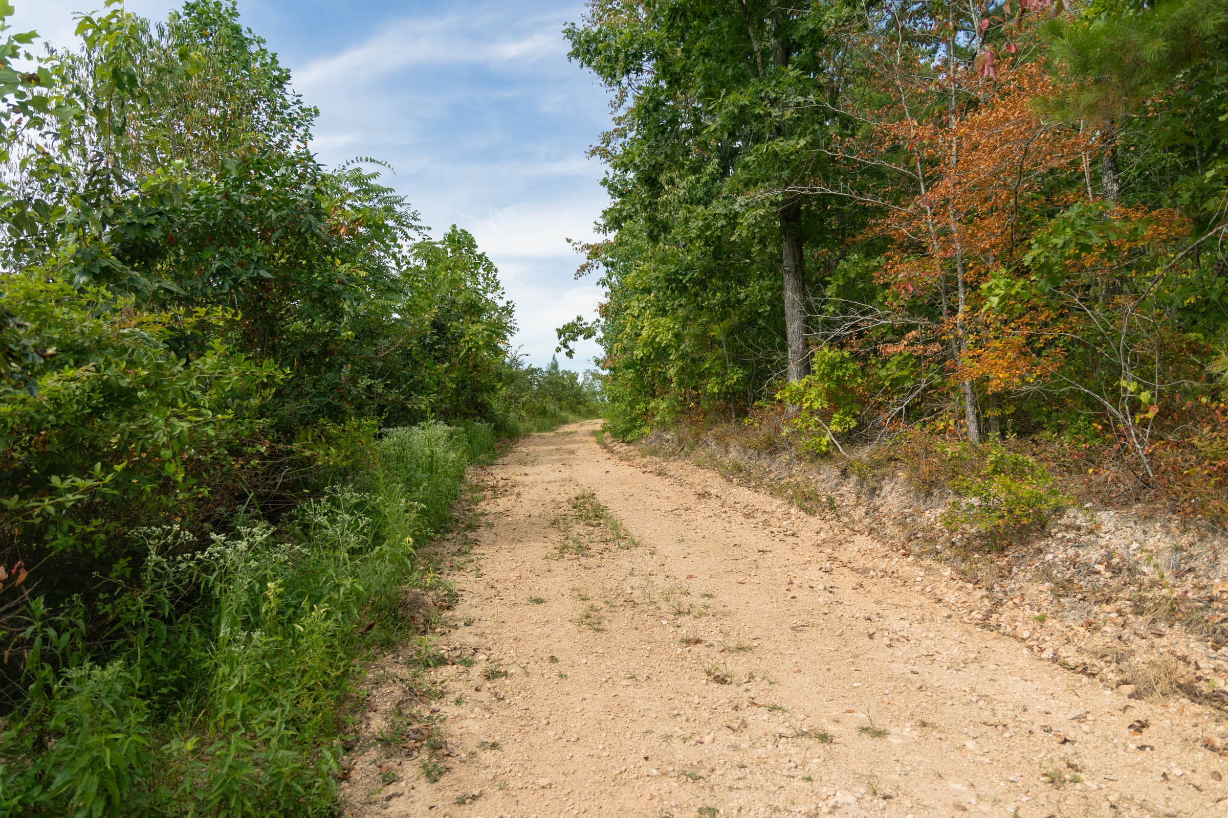 Big White Oak Tract 32 photo 4