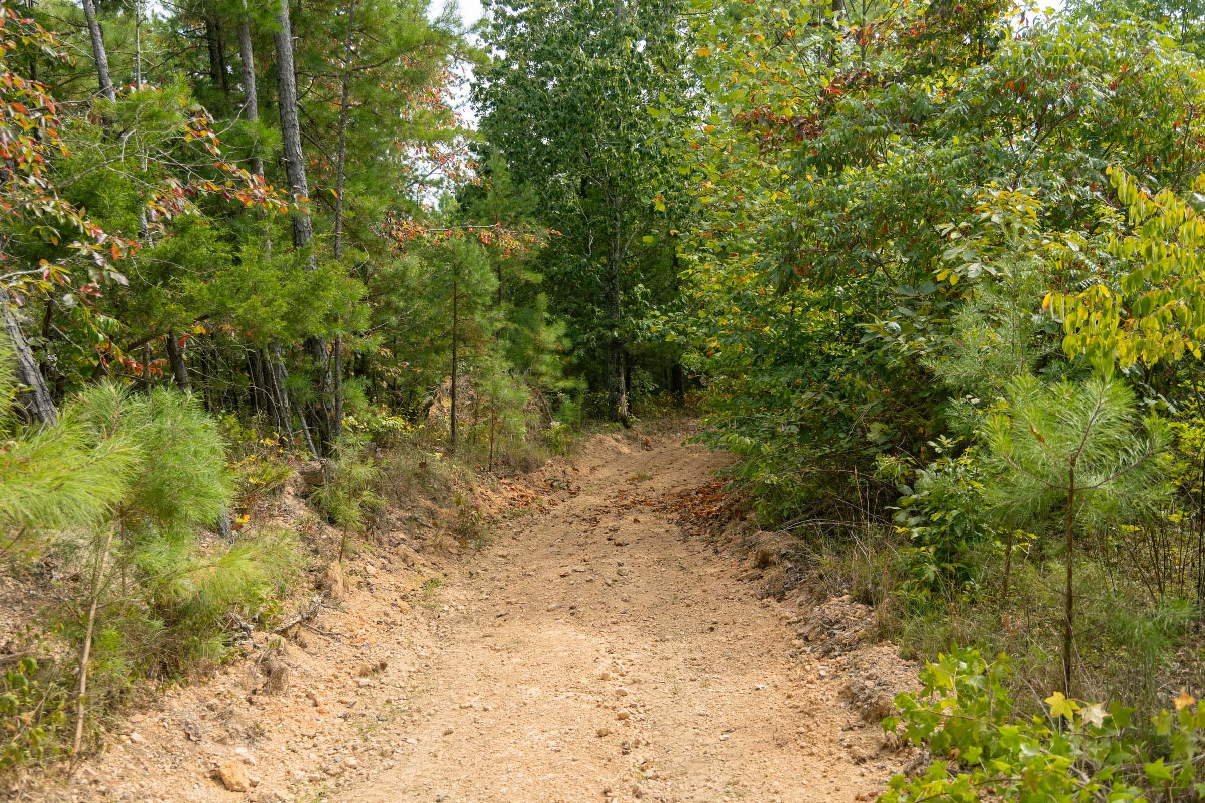Big White Oak Tract 32 photo 1