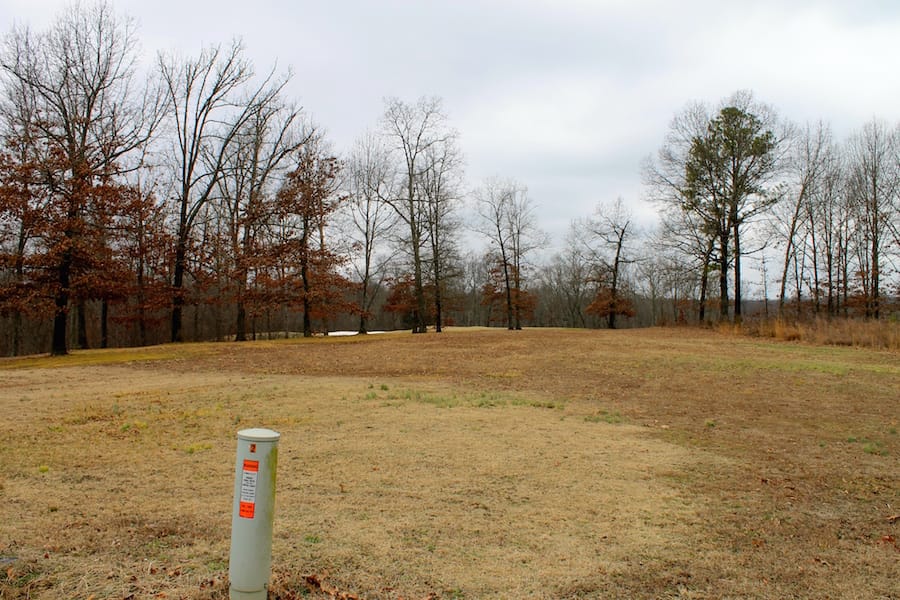 The Tennessean Tract 2 photo 1