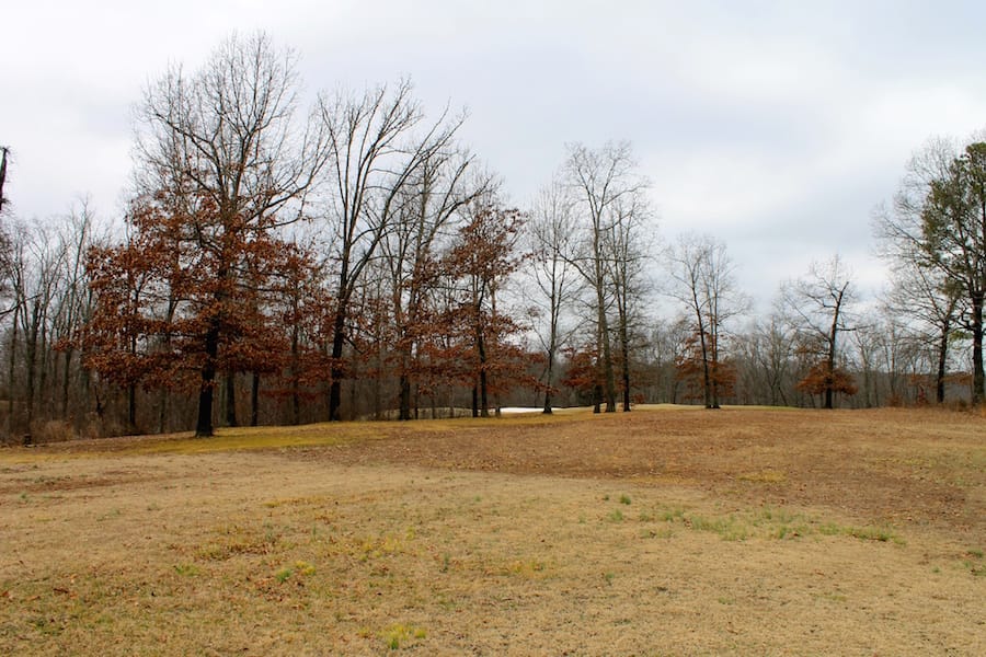 The Tennessean Tract 2 photo 3